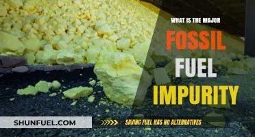 Unveiling the Major Impurity in Fossil Fuels: Sulfur's Hidden Impact