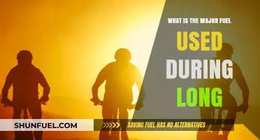 Long-Duration Energy Sources: Understanding the Primary Fuel for Endurance