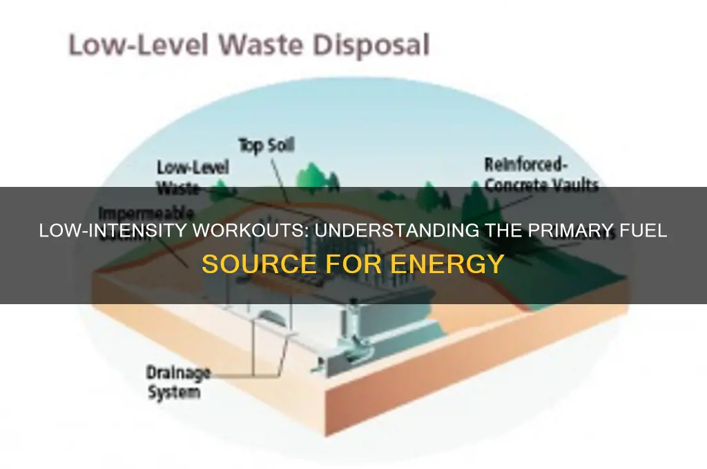 what is the major fuel used during low-intensity activity