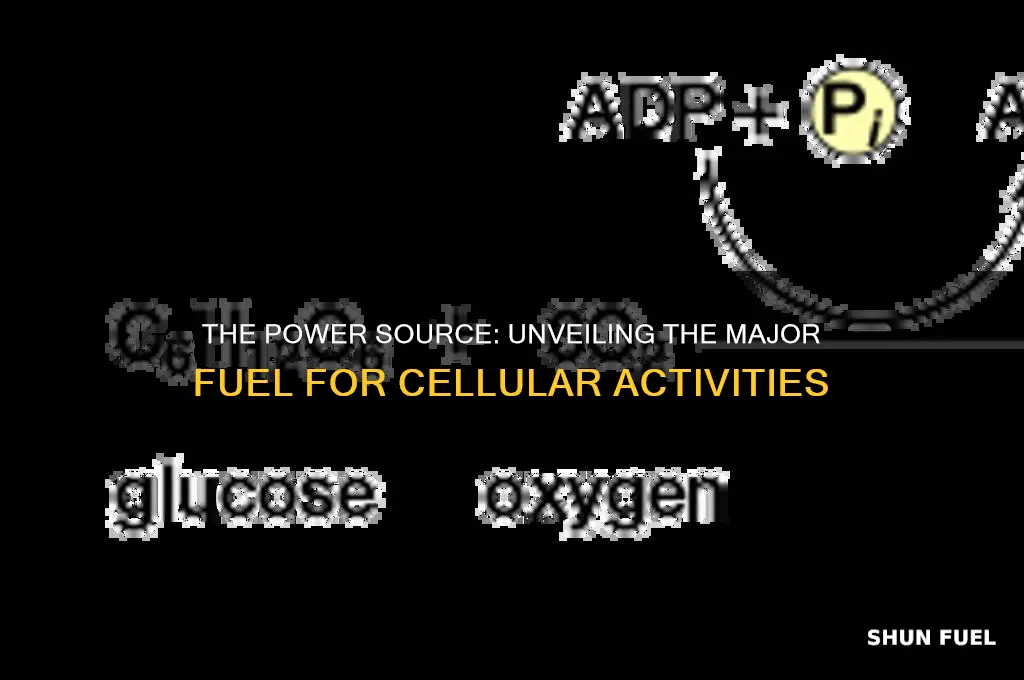 what is the major fuel used for all cellular activities