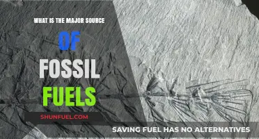 Unveiling the Primary Origins of Fossil Fuels: A Comprehensive Guide