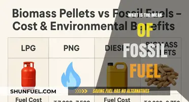 Understanding Fossil Fuels: Definition, Types, and Environmental Impact Explained