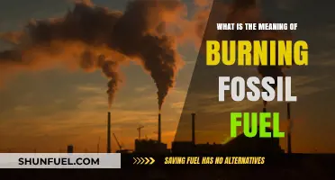 Burning Fossil Fuels: Understanding Its Impact and Environmental Consequences
