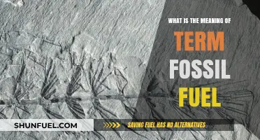 Understanding Fossil Fuels: Origins, Uses, and Environmental Impact Explained