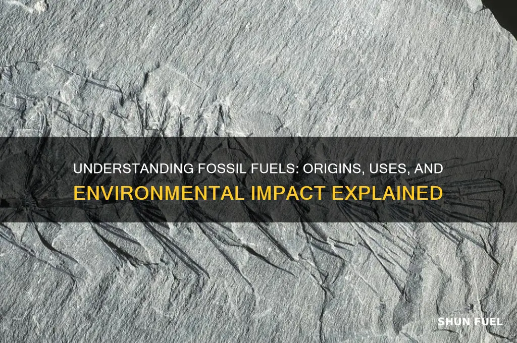 what is the meaning of term fossil fuel