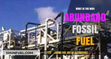 The Most Abundant Fossil Fuel: Unveiling the Dominant Energy Source