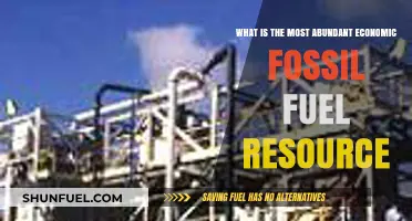 The Dominant Fossil Fuel: Uncovering Earth's Most Abundant Energy Resource