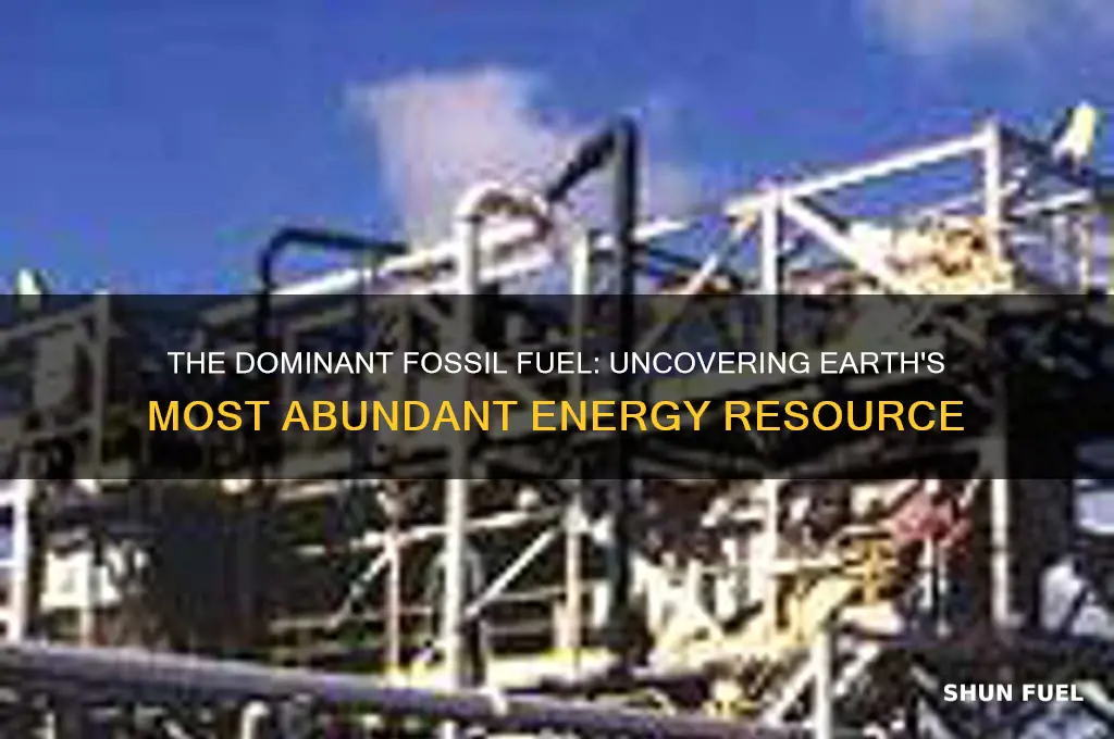 what is the most abundant economic fossil fuel resource