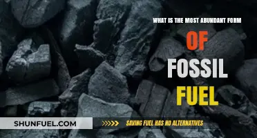 The Most Abundant Fossil Fuel: Unveiling the Dominant Energy Source