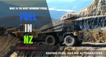 New Zealand's Energy Dominance: Unveiling the Most Abundant Fossil Fuel