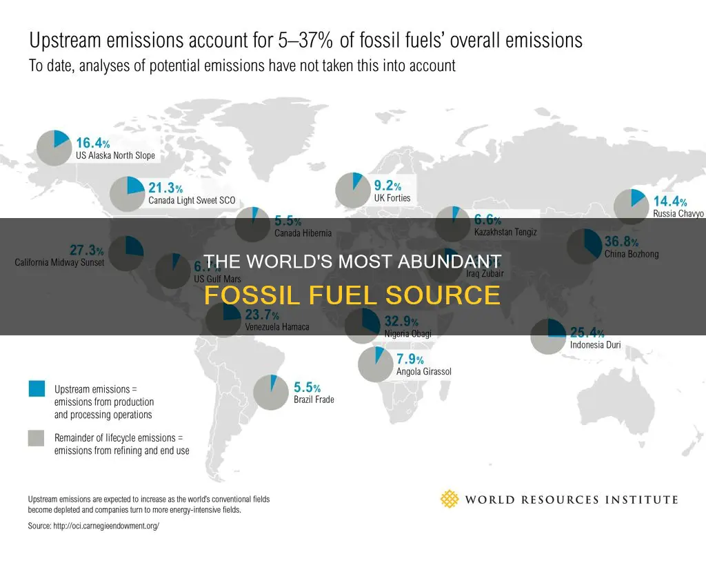 what is the most abundant fossil fuel in the world