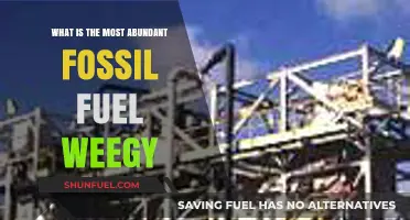 Unveiling the Dominant Fossil Fuel: Earth's Most Abundant Energy Source