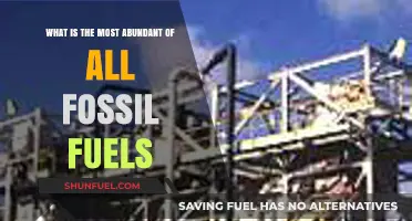 Unveiling the Dominant Fossil Fuel: Earth's Most Abundant Energy Source