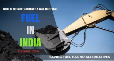 India's Energy Backbone: The Most Abundant Fossil Fuel Resource