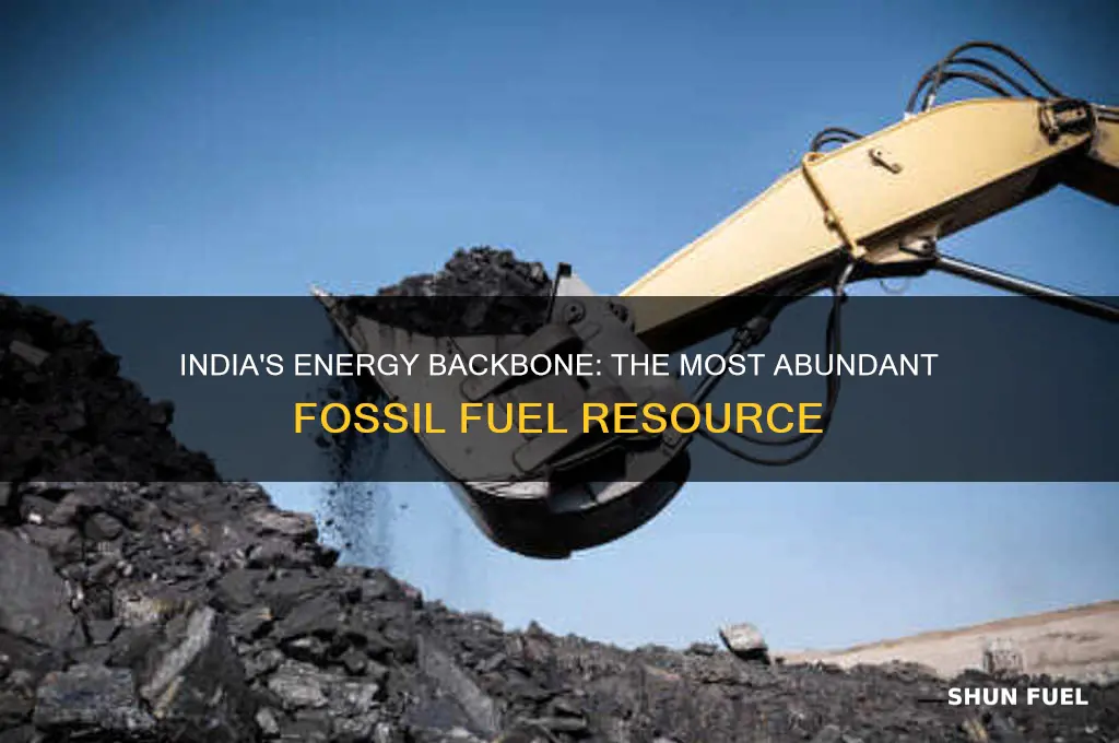 what is the most abundantly available fossil fuel in india