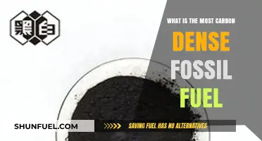 Coal: The Most Carbon-Dense Fossil Fuel and Its Impact