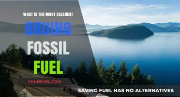 Exploring the Cleanest Burning Fossil Fuel: Natural Gas Advantages