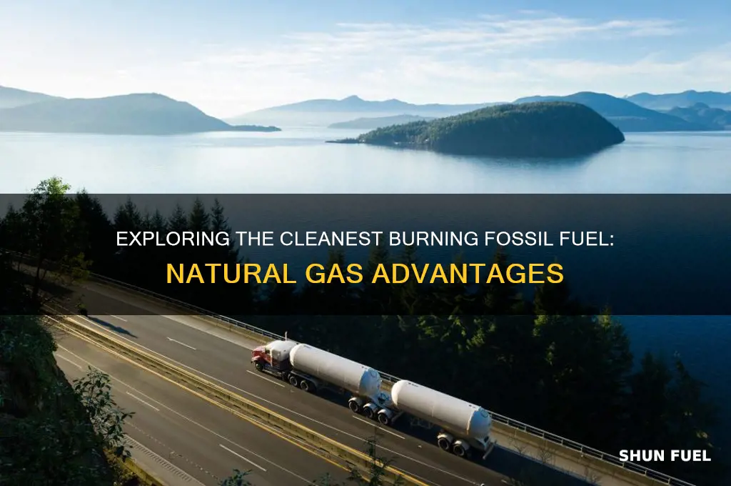 what is the most cleanest bruing fossil fuel