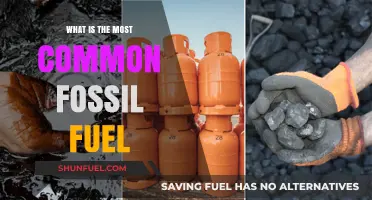The Most Common Fossil Fuel: Unveiling the Dominant Energy Source