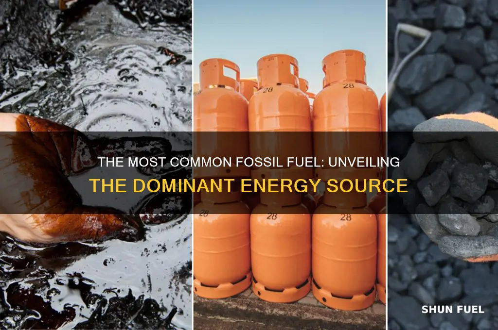 what is the most common fossil fuel