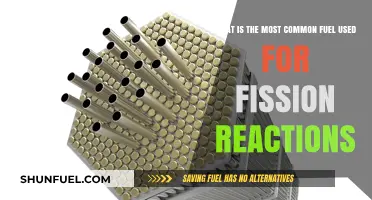 The Dominant Fuel Powering Fission Reactions: Unveiling the Most Common Choice