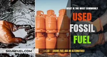 The Dominant Energy Source: Exploring the Most Commonly Used Fossil Fuel