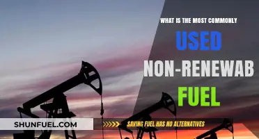 The Dominant Non-Renewable Fuel Powering Our World Today