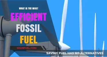 Exploring the Most Efficient Fossil Fuel: Pros, Cons, and Impact