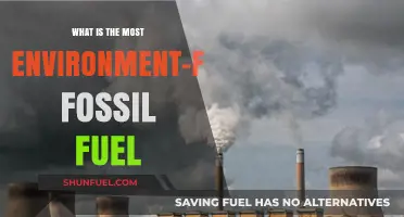 Exploring the Least Harmful Fossil Fuel for a Greener Future