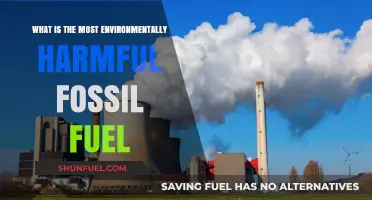 The Worst Offender: Which Fossil Fuel Harms Our Planet Most?