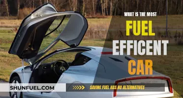 Fuel-Efficient Cars: What's the Most Economical Option?