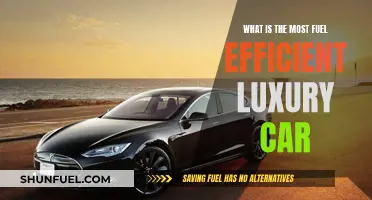 Luxury Cars: Fuel Efficiency and Performance