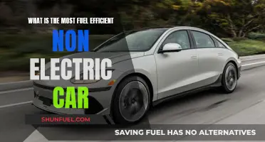 Fuel-Efficient Non-Electric Cars: What's the Most Economical Option?