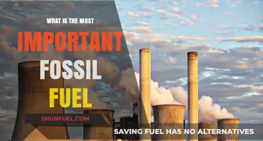 Unveiling the Dominant Fossil Fuel: A Comprehensive Analysis of Energy Sources