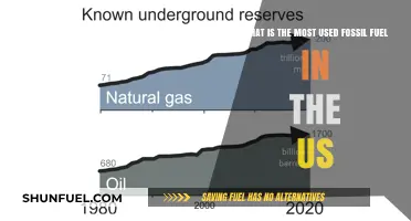 America's Top Fossil Fuel: Uncovering the Most Used Energy Source