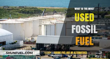 The Most Popular Fossil Fuel: Powering Our World