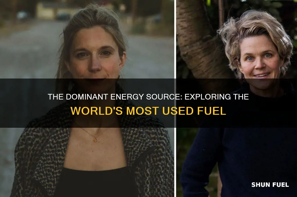 what is the most used fuel