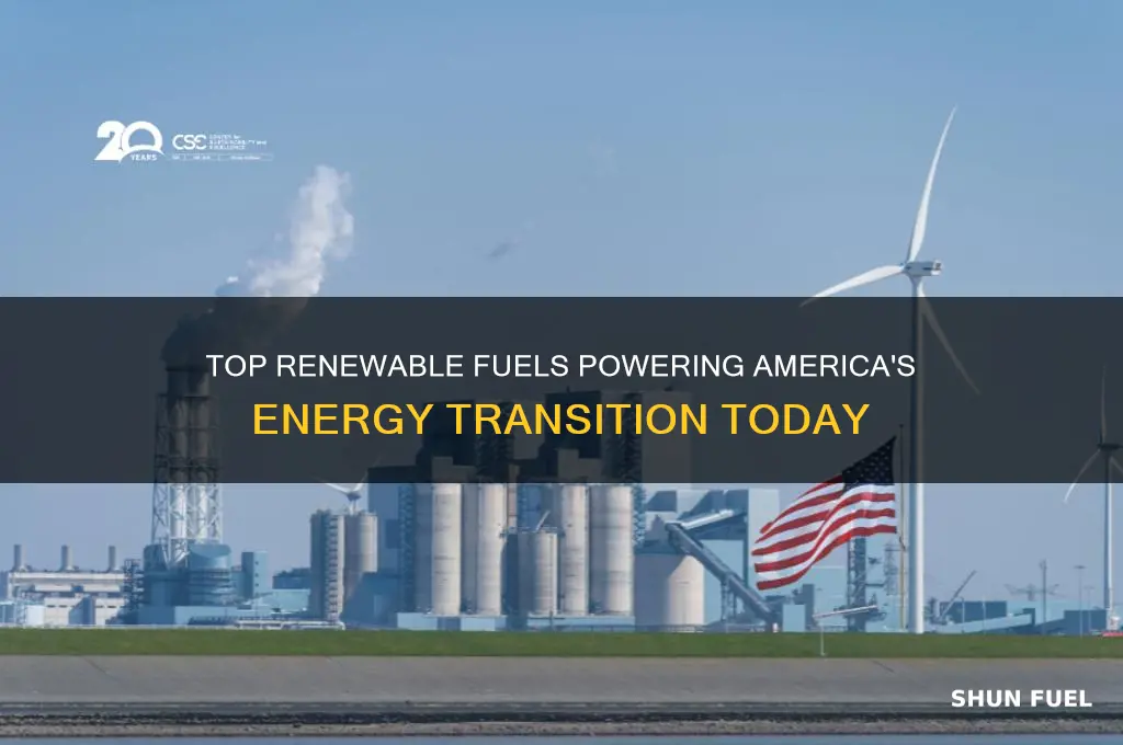 what is the most used renewable fuels in the us