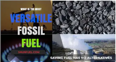 Exploring the Most Versatile Fossil Fuel: Uses, Impact, and Future