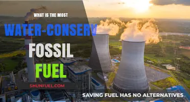Exploring the Most Water-Efficient Fossil Fuel: A Conservation Perspective