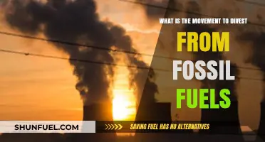 Divest from Fossil Fuels: The Growing Movement for Climate Action