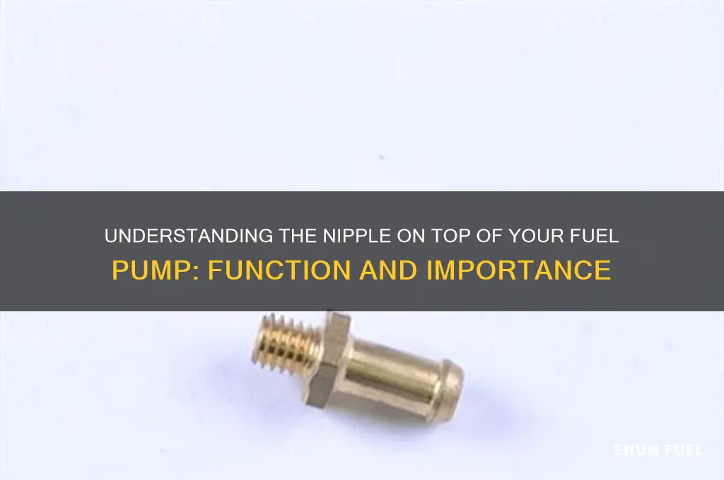 what is the nipple on top of fuel pump