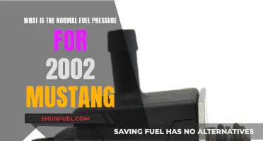 Fuel Pressure Maintenance for 2002 Mustang Owners