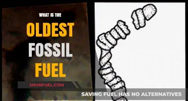 Unearthing History: The Oldest Fossil Fuel and Its Impact