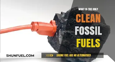 Exploring the Myth: Is There a Truly Clean Fossil Fuel?