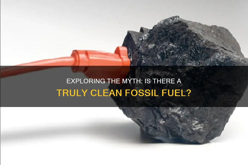 what is the only clean fossil fuels