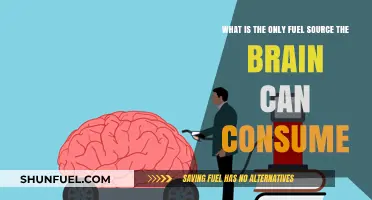 Brain's Exclusive Fuel: Unveiling the Sole Energy Source for Cognitive Power