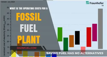 Understanding Fossil Fuel Plant Operating Costs: A Comprehensive Breakdown