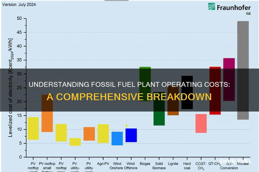 what is the operating costs for a fossil fuel plant