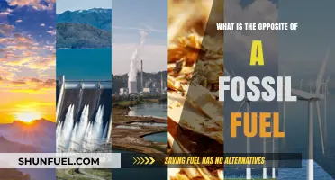 Renewable Energy: The Sustainable Alternative to Fossil Fuels Explained